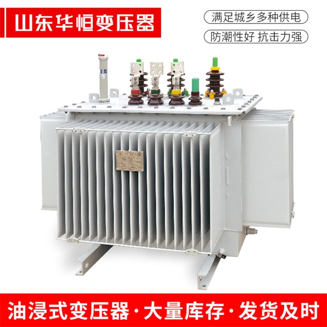 S13-10000/35梨树梨树梨树电力变压器